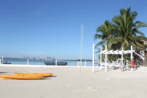 Relax & Cozy 1BR 🌴 ⚡Beach ⛱️ - Image 3