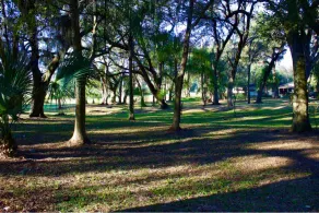 BUSCH GARDENS CHEERFUL HOME 3ACRES FREE PARKING/RV - Image 4
