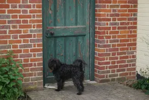 Keepers Cottage, in 42 acres of Norfolk nature. - Image 4