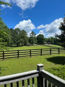 Private Cottage! On Horse Rescue in Williamsburg! - Image 4