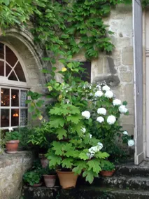 Charming castle in the heart of Le Berry - Image 3
