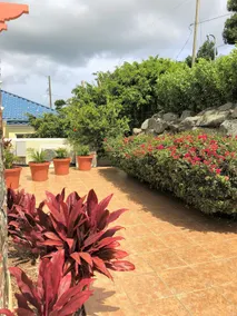 LUX 3 King BR Pool Villa with Generator overlooking Cruz Bay with amazing views - Image 3