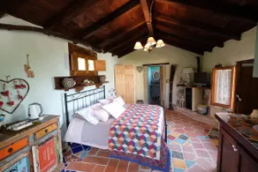 House in the original grove - Image 4