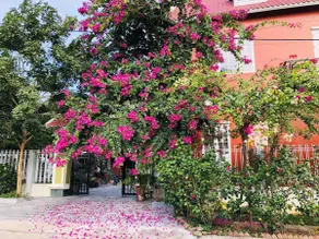 Ninh Binh Brother's Homestay - Image 3