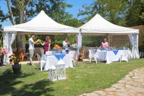 A Margherita in the Villa - Image 2
