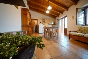 The Olive Grove - Image 5