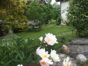 House on the Bodanrück with beautiful apartment - Image 3