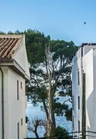 Apartamento Puerto Pollença - Illa d'Or-Pine Walk - Image 4