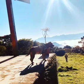 Rancho Serrano - Image 5