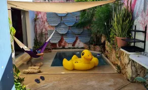 Casa Ashoka - Image 2