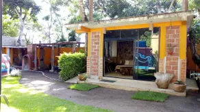 The Totonicapan Blue Hummingbird - Image 3