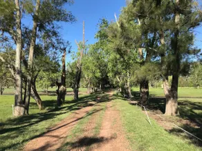 Casa de Campo Las Casuarinas, 90 minutes from the Obelisk - Image 5
