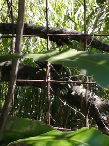 Natural gateway to enjoy nature - Image 3