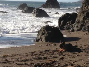 OCEANFRONT! 180VIEWS, fire pit,2bd/2ba - Image 2
