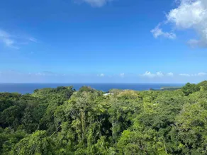 2 Bdr. Apartment with Ocean View near Port Antonio - Image 5