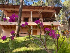 Villa Cartagena | 3 Bedrooms Mazamitla Forest - Image 4