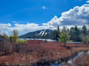 Dog friendly getaway w/ hot tub, sauna and skiing! - Image 2