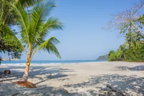 Beachfront Manuel Antonio Beach Pool 2 bedroom - Image 4