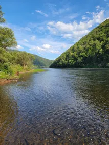Cozy open space area along the Susquehanna River - Image 5