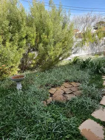Coastal Grevillea Studio Retreat - Image 5