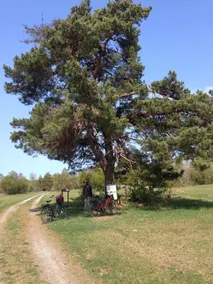 Vita Huset Göksnåre by Hållnäs peninsula. Coastal - Image 2