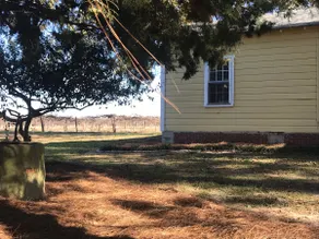 The Yellow House in the Vineyards - Image 3