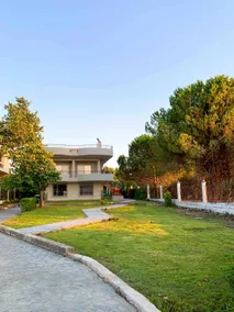 Pap house - Image 3