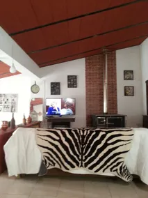 Rustic Villa in Alentejo - Image 5