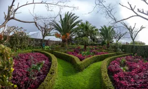 Quinta das Bolas - Image 5