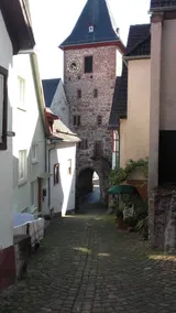 W3. Neckarblick, nature, old town, former supply house of Hirschhorn Castle. - Image 3