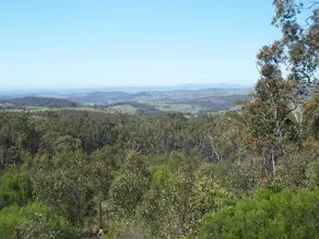 The Retreat Bushland Lodge Eaglereach Resort Vacy NSW - Image 3