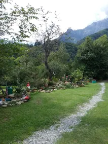 Monica's Garden - Image 3