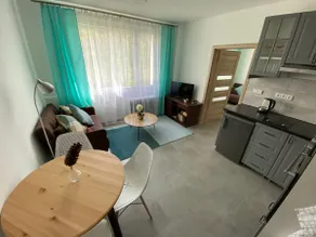 New mountain apartment in the Jizera Mountains - Image 3