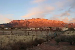 Sandia Splendor - Image 2