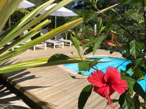 New @Armadillo Vacation home - Image 3