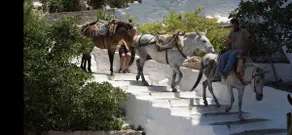 Villa ADA - Image 3