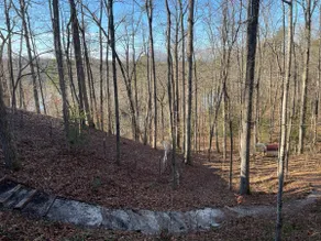 Chestnut Cottage at Saluda River Farms - Image 2