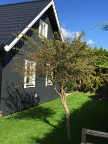 Beach cottage + jacuzzi, close to dunes and sea - Image 2