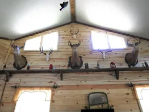 Chaney Farms/ Leaning Pines Cabin - Image 2