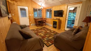 Falling Water Cabin - Nestled on Stream - Hot Tub - Image 5