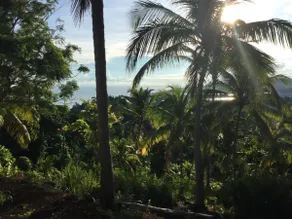 Fantastic views at Friends - Image 2