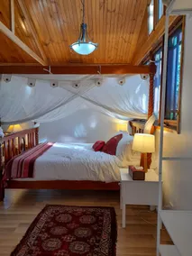 Quirky Cottage in Centre of Maleny, Walk Everywhere - Image 5