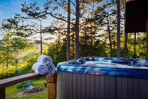 Morwood House - Mountaintop of 15+ Private Acres - Image 3