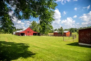 Farm Cottage.....a relaxing stay of fresh air! - Image 2