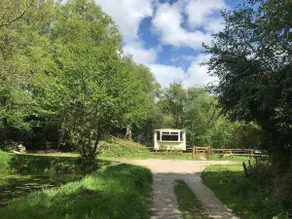 Hideaway in the Woods - Image 3