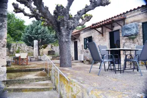 LIOTRIVI (OIL PRESS) - Image 2