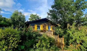 Tree top view + fireplace in the cozy wooden house - Image 3