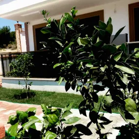 SERAYSEN APARTMENT (WITH POOL) GARDEN FLOOR - Image 5