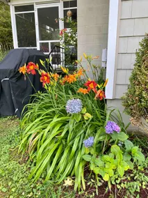 Chesapeake Bay Beach Cottage - Image 3