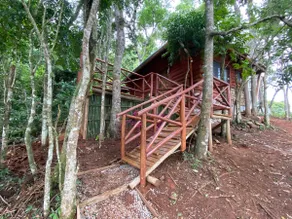 Cabin in the Forest - ND - Image 5
